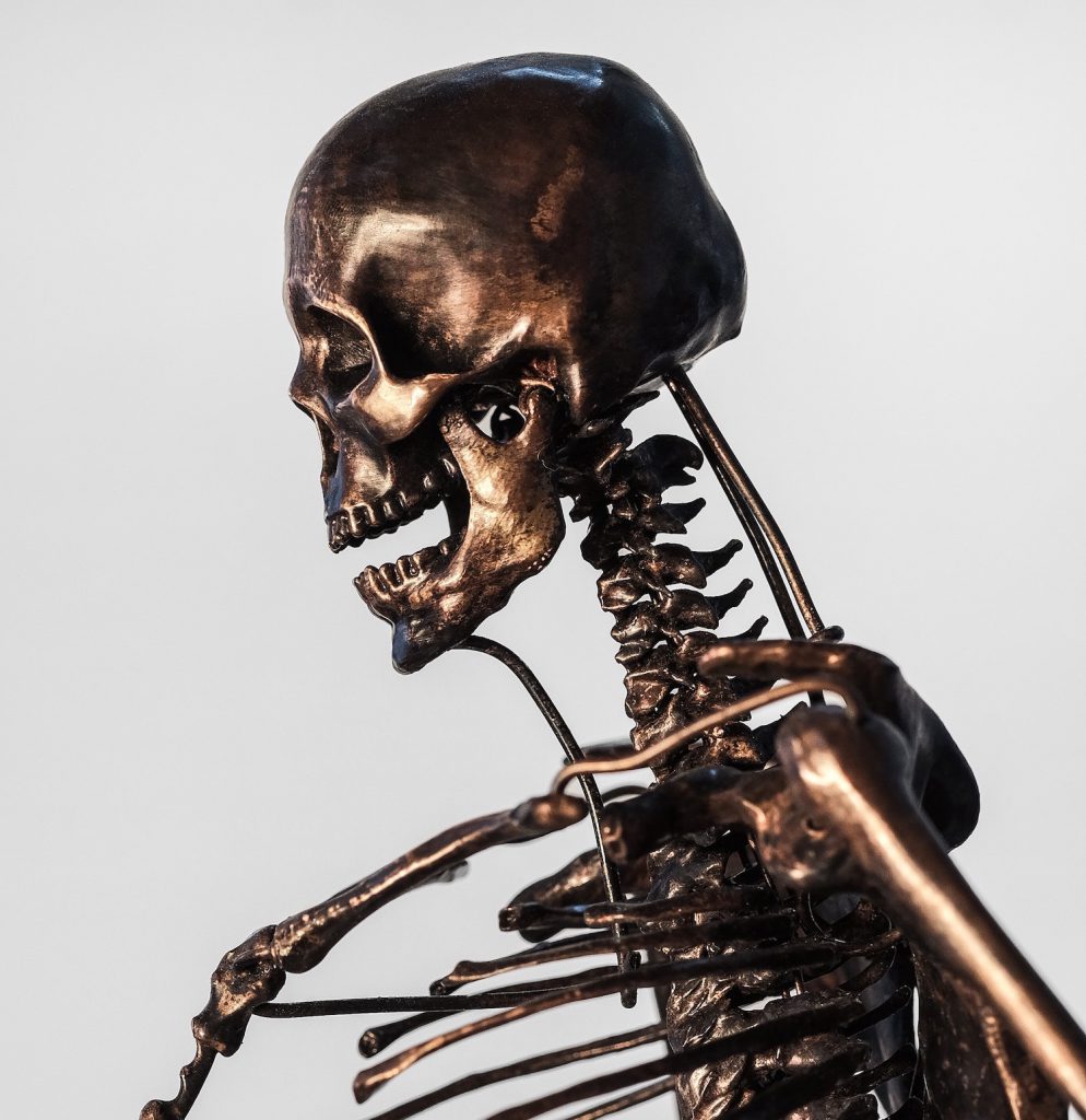 decorative image: skeleton