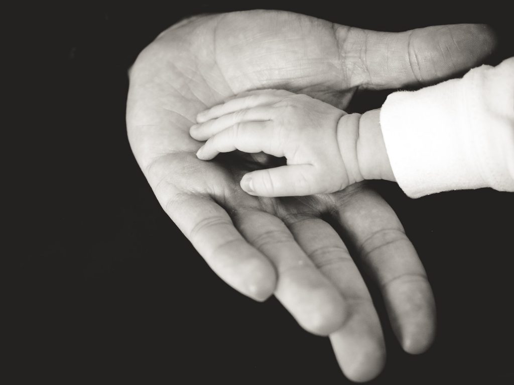 decorative image: child and parent hands photography