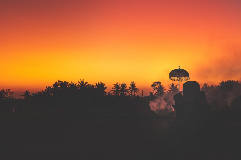 decorative image: treeline at sunset